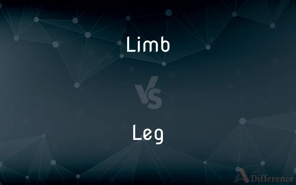 Limb vs. Leg — What's the Difference?