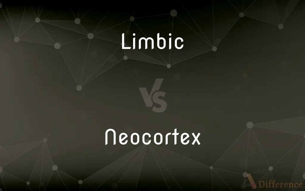 Limbic vs. Neocortex — What's the Difference?
