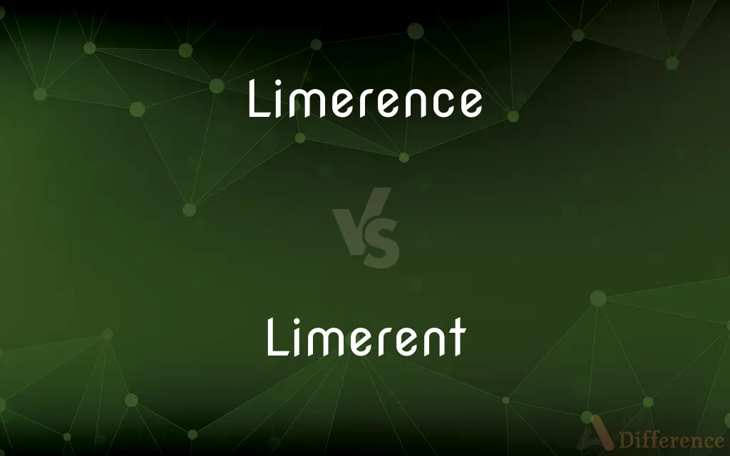Limerence vs. Limerent — What's the Difference?