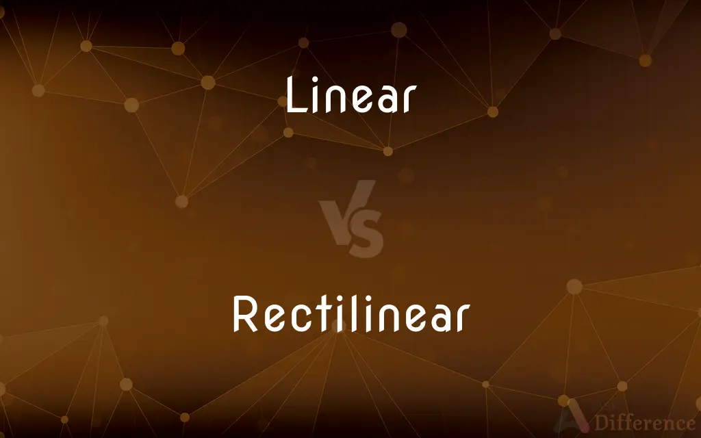 Linear vs. Rectilinear — What's the Difference?