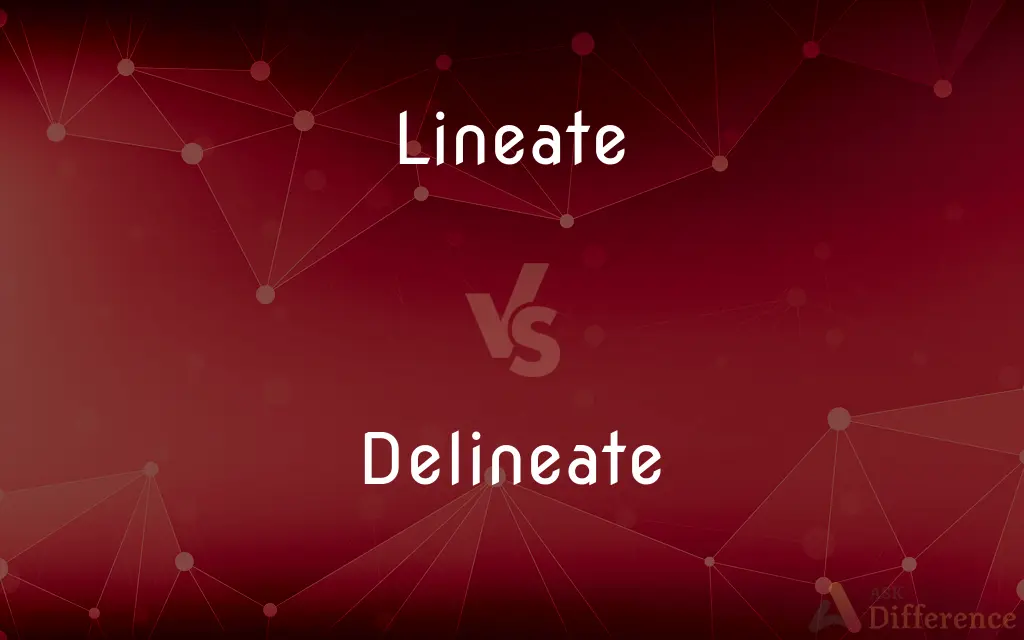 Lineate vs. Delineate — What's the Difference?