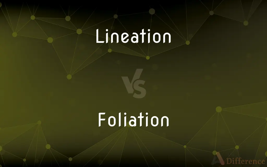 Lineation vs. Foliation — What's the Difference?
