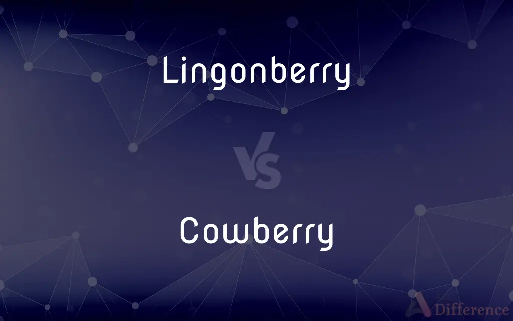 Lingonberry vs. Cowberry — What's the Difference?