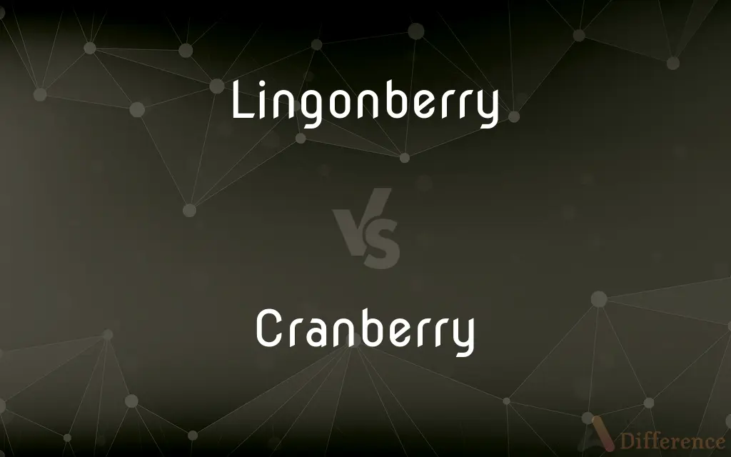 Lingonberry vs. Cranberry — What's the Difference?