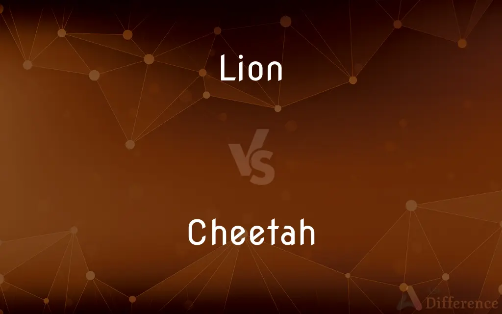 Lion vs. Cheetah — What's the Difference?