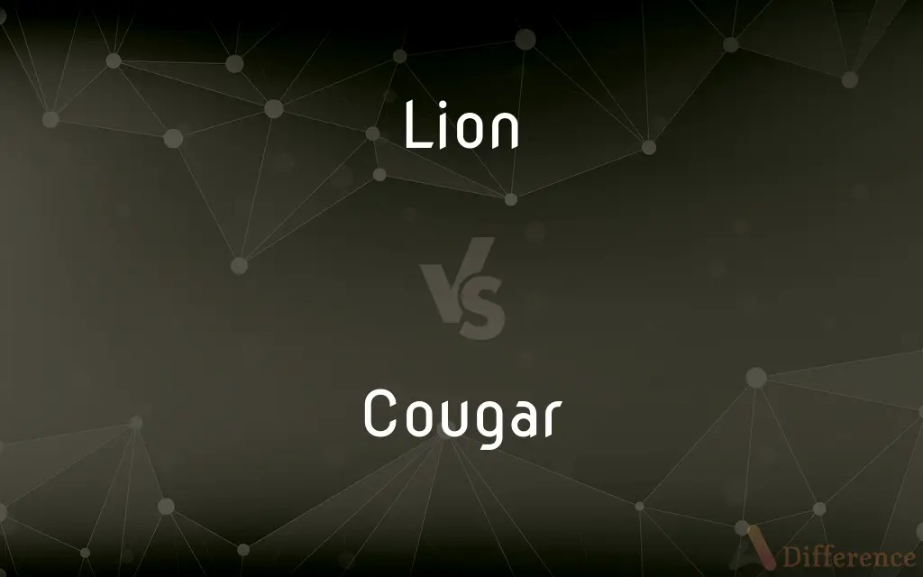 Lion vs. Cougar — What's the Difference?