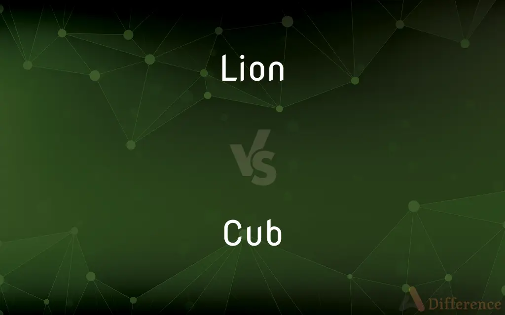 Lion vs. Cub — What's the Difference?