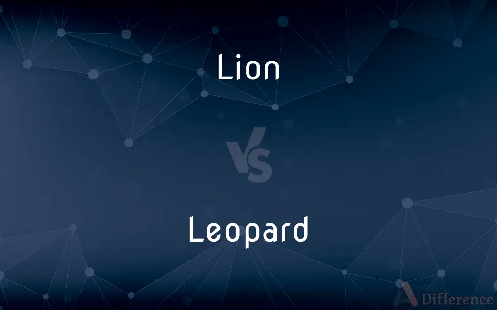 Lion vs. Leopard — What's the Difference?