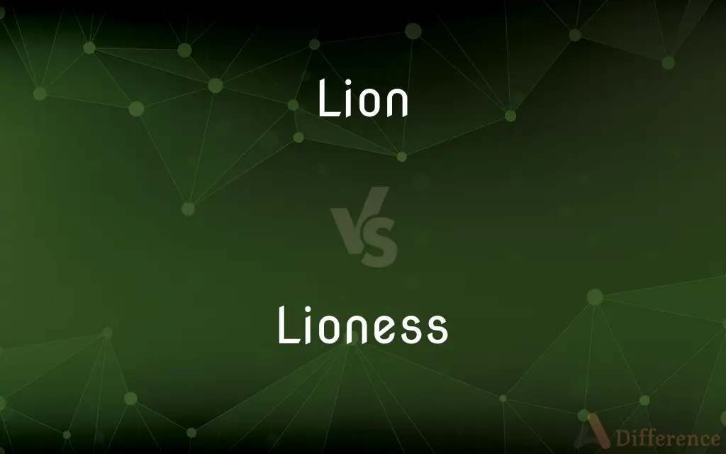 Lion vs. Lioness — What's the Difference?