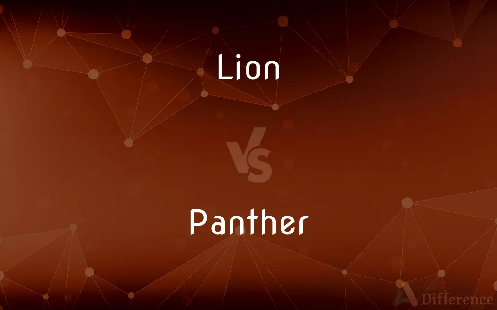 Lion vs. Panther — What's the Difference?