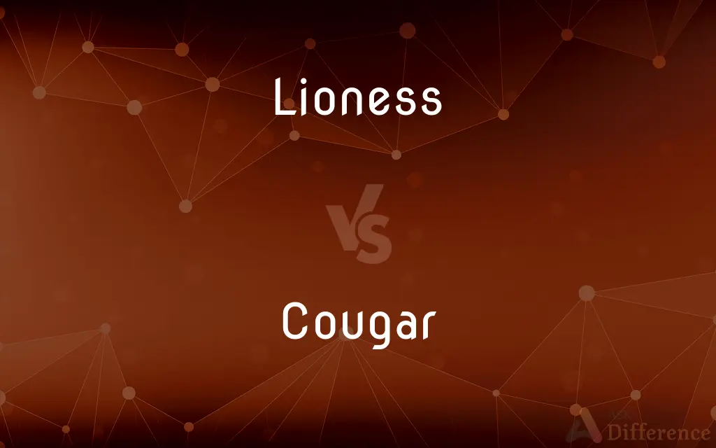 Lioness vs. Cougar — What's the Difference?