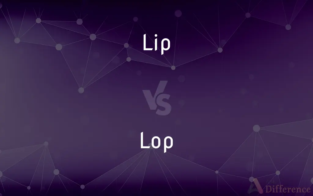 Lip vs. Lop — What's the Difference?