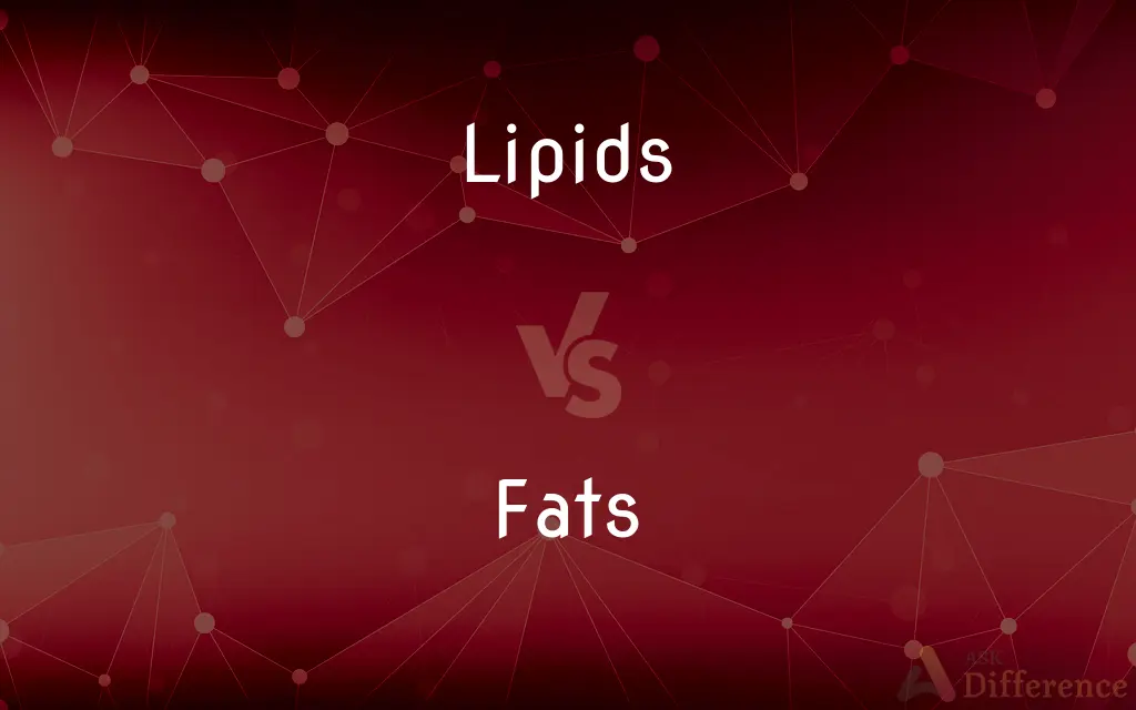 Lipids vs. Fats — What's the Difference?