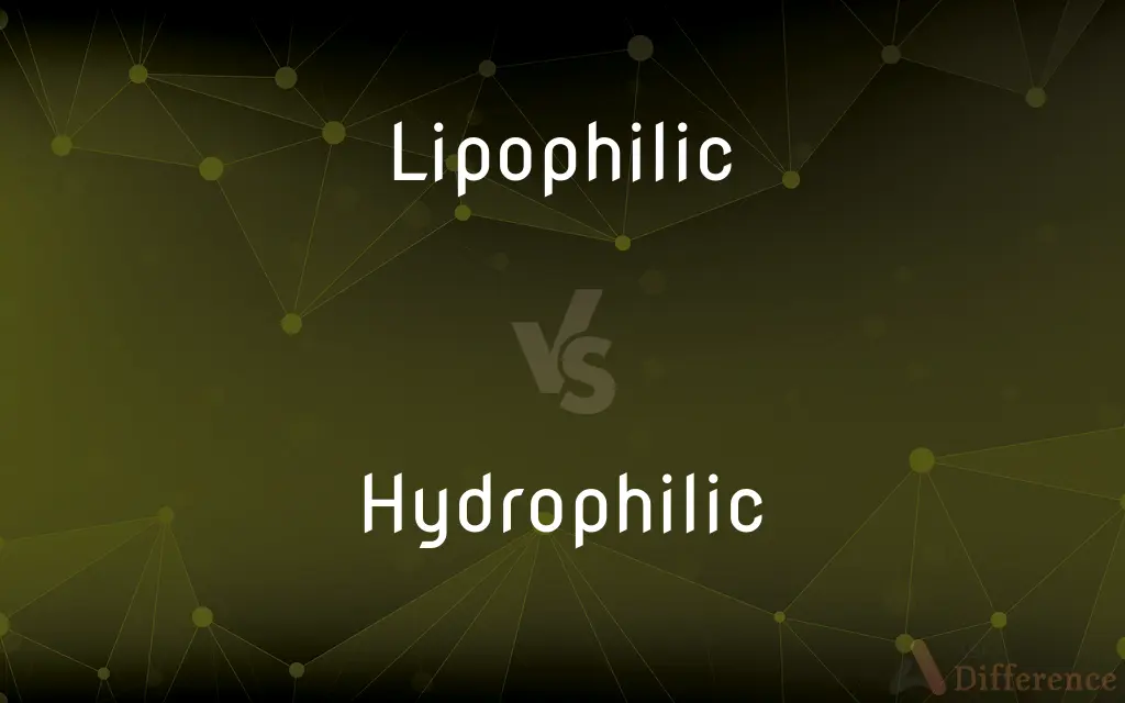 Lipophilic vs. Hydrophilic — What's the Difference?