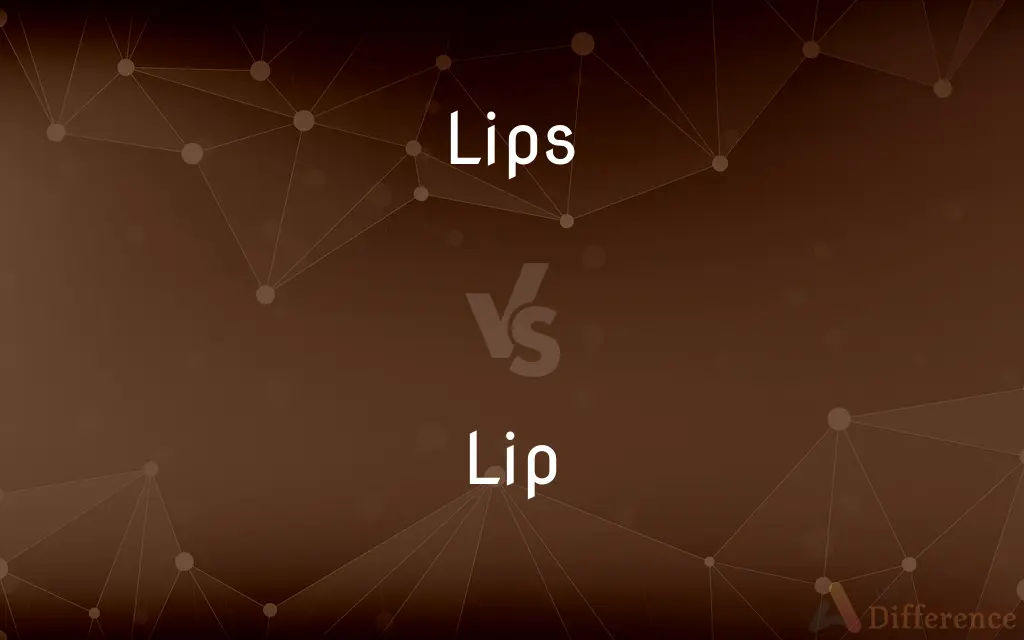 Lips vs. Lip — What's the Difference?