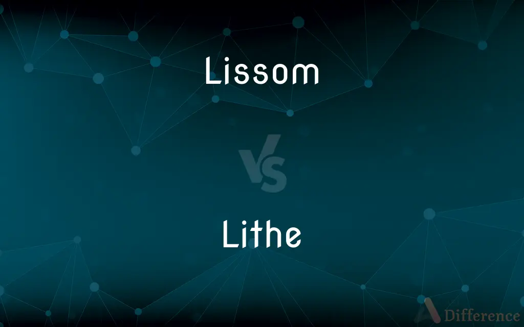 Lissom vs. Lithe — What's the Difference?