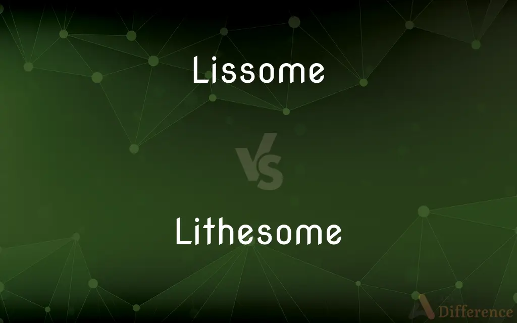 Lissome vs. Lithesome — What's the Difference?