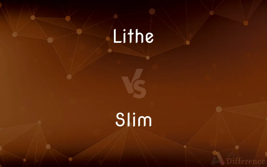 Lithe vs. Slim — What's the Difference?