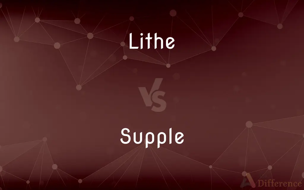 Lithe vs. Supple — What's the Difference?