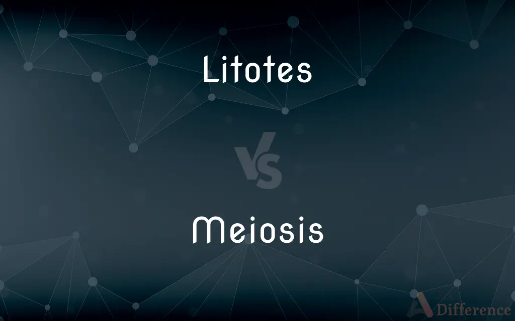 Litotes vs. Meiosis — What's the Difference?