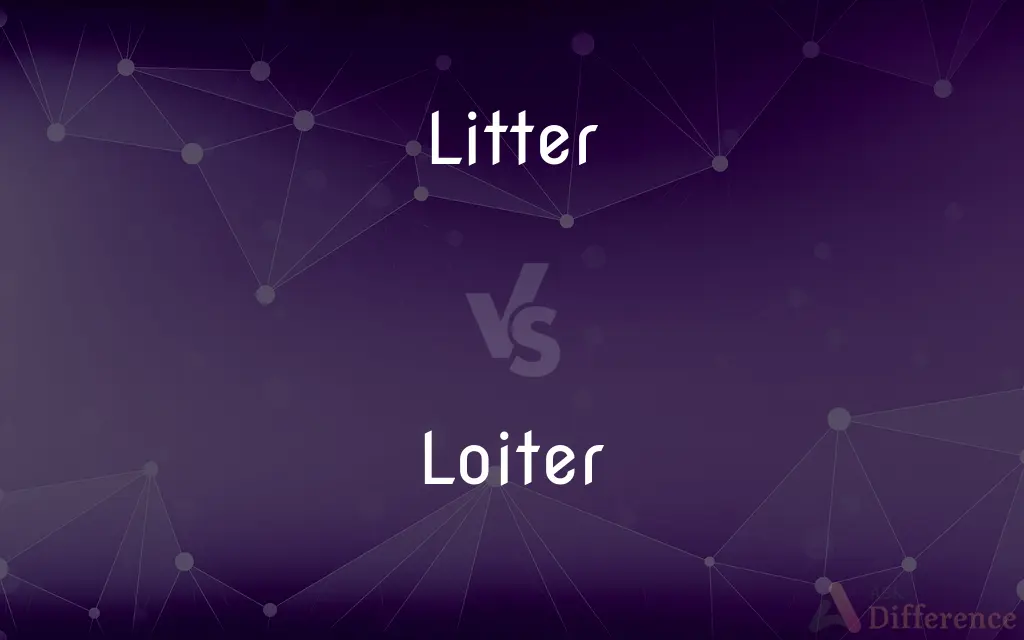 Litter vs. Loiter — What's the Difference?