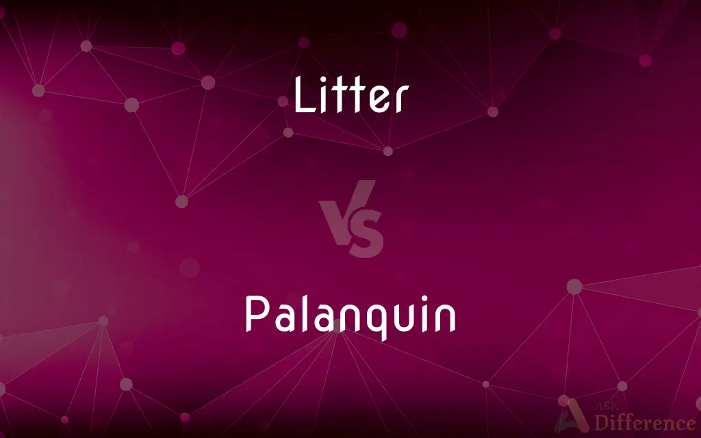 Litter vs. Palanquin