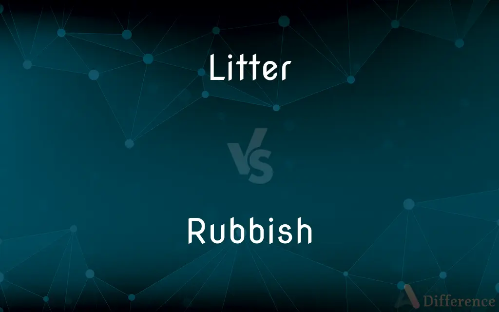 Litter vs. Rubbish — What's the Difference?