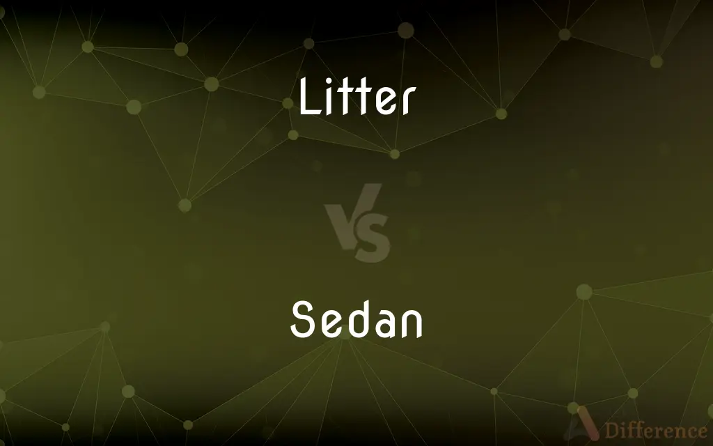 Litter vs. Sedan — What's the Difference?