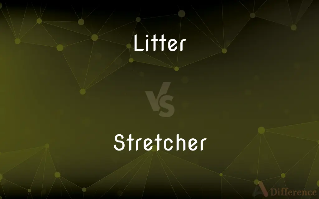 Litter vs. Stretcher — What's the Difference?
