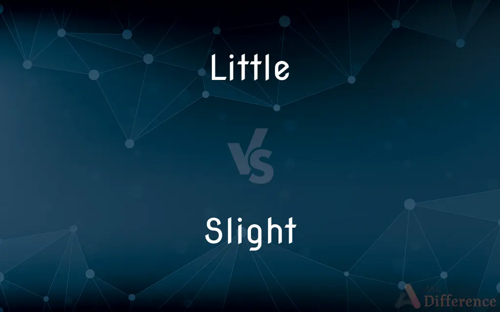 Little vs. Slight — What's the Difference?