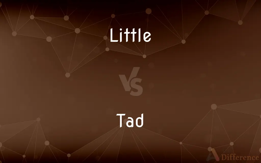 Little vs. Tad — What's the Difference?