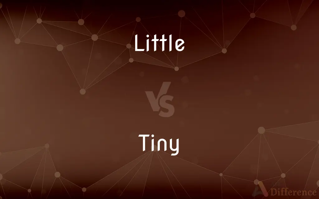 Little vs. Tiny — What's the Difference?