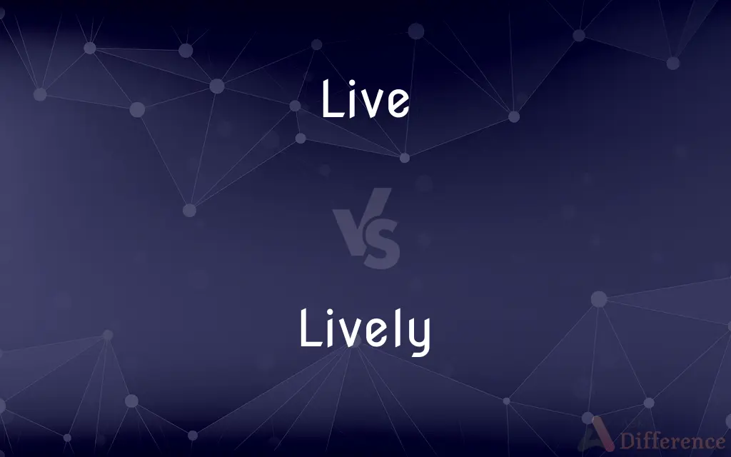 Live vs. Lively — What's the Difference?