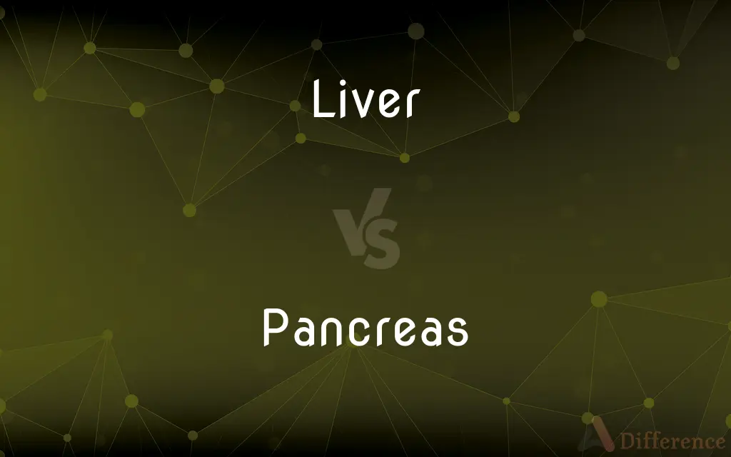 Liver vs. Pancreas — What's the Difference?