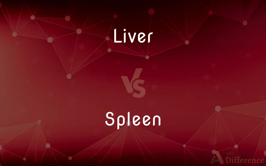 Liver vs. Spleen — What's the Difference?