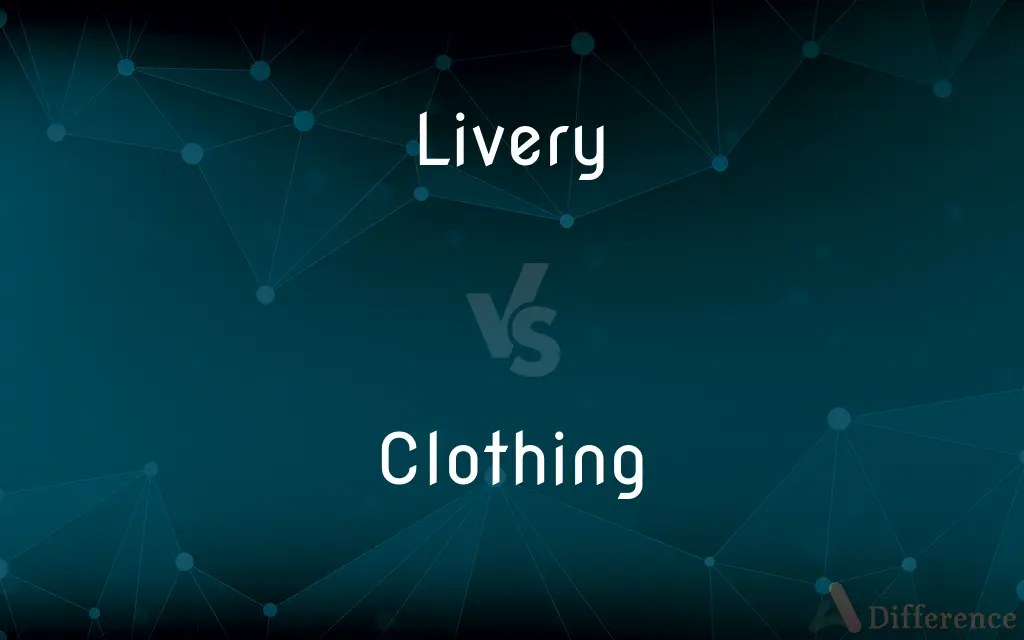 Livery vs. Clothing — What's the Difference?