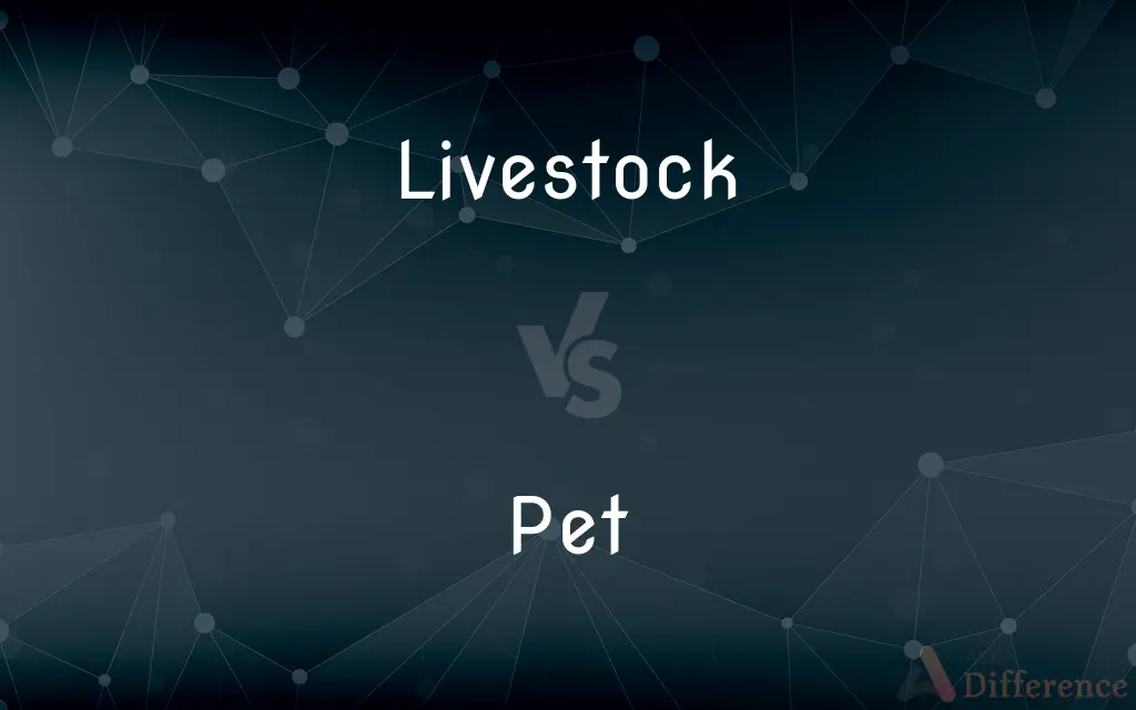 Livestock vs. Pet — What's the Difference?