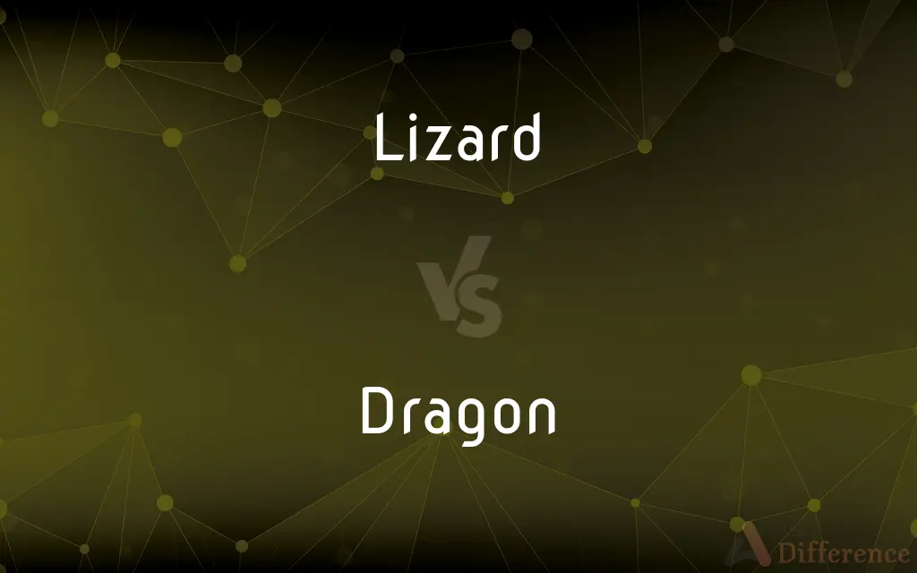 Lizard vs. Dragon — What's the Difference?