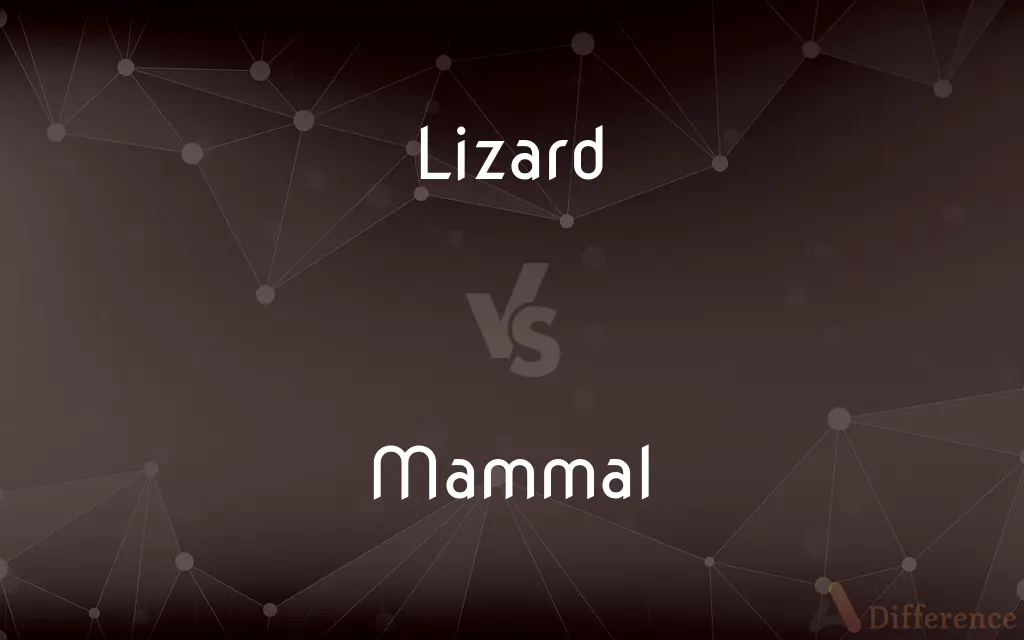 Lizard vs. Mammal — What's the Difference?
