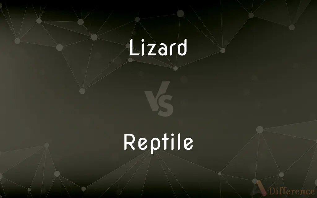 Lizard vs. Reptile — What's the Difference?