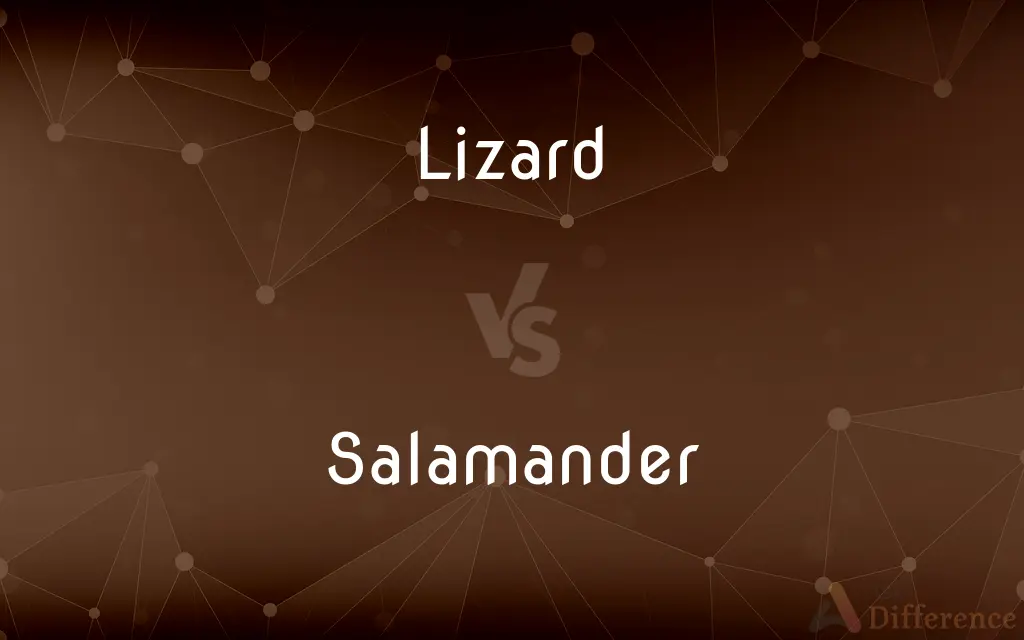 Lizard vs. Salamander — What's the Difference?
