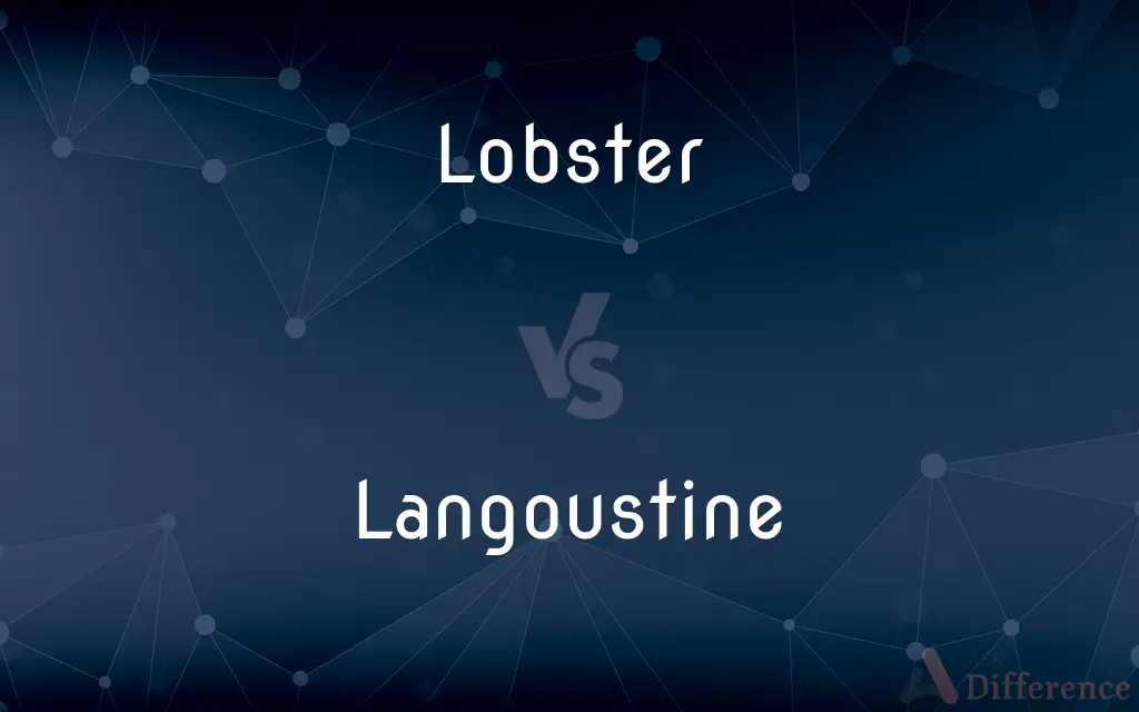 Lobster vs. Langoustine — What's the Difference?