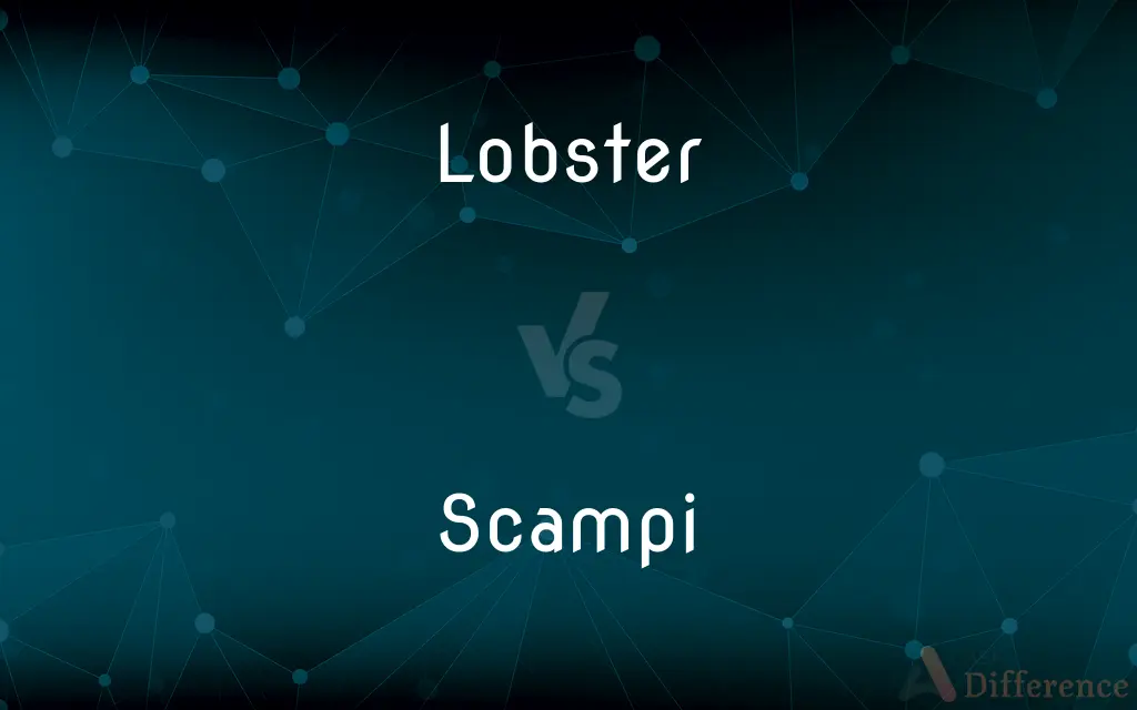 Lobster vs. Scampi — What's the Difference?