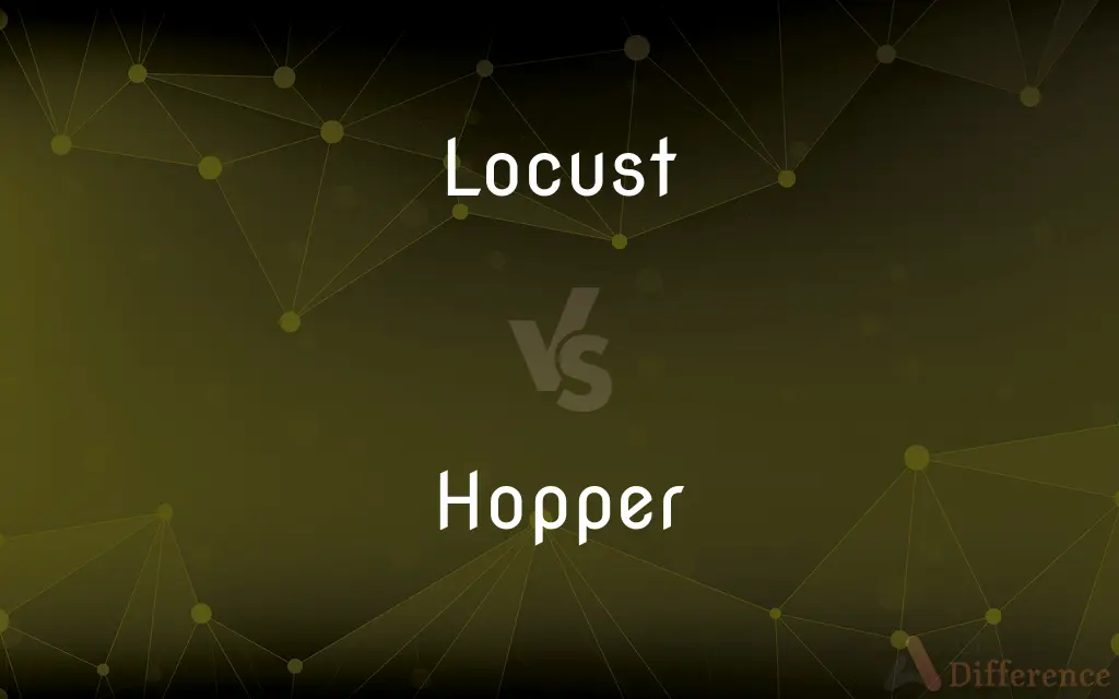 Locust vs. Hopper — What's the Difference?