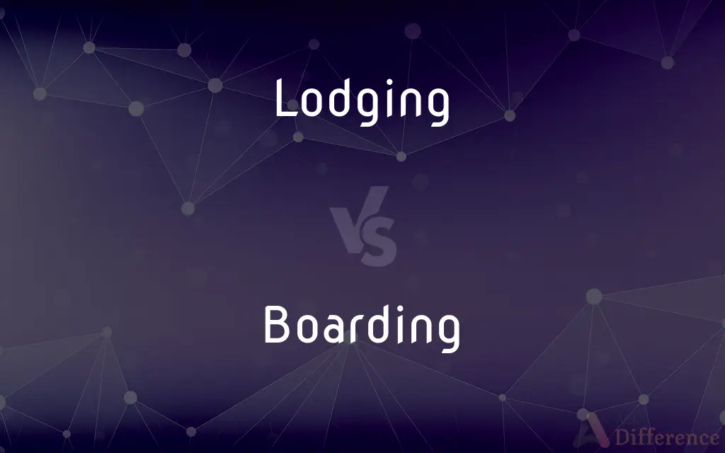 Lodging vs. Boarding — What's the Difference?