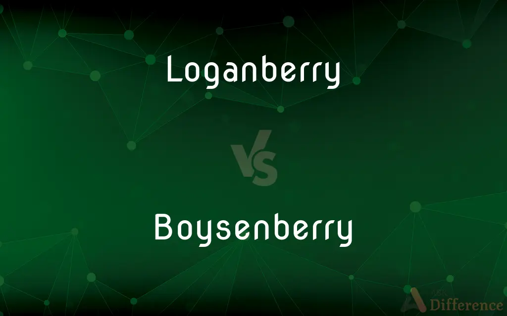 Loganberry vs. Boysenberry — What's the Difference?