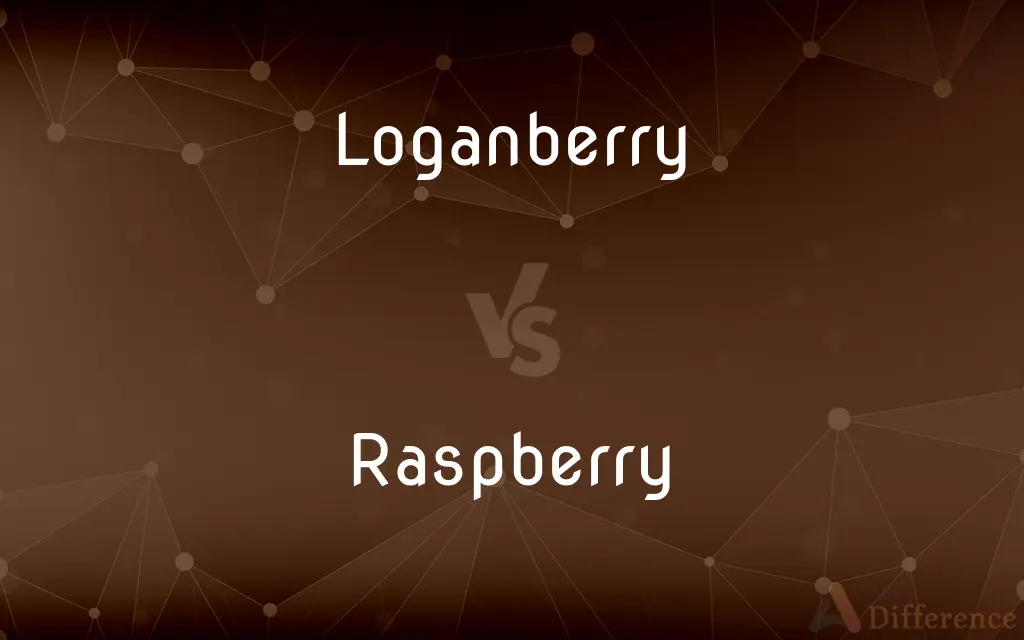 Loganberry vs. Raspberry — What's the Difference?