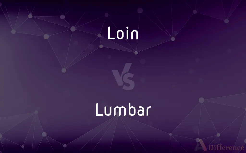 Loin vs. Lumbar — What's the Difference?
