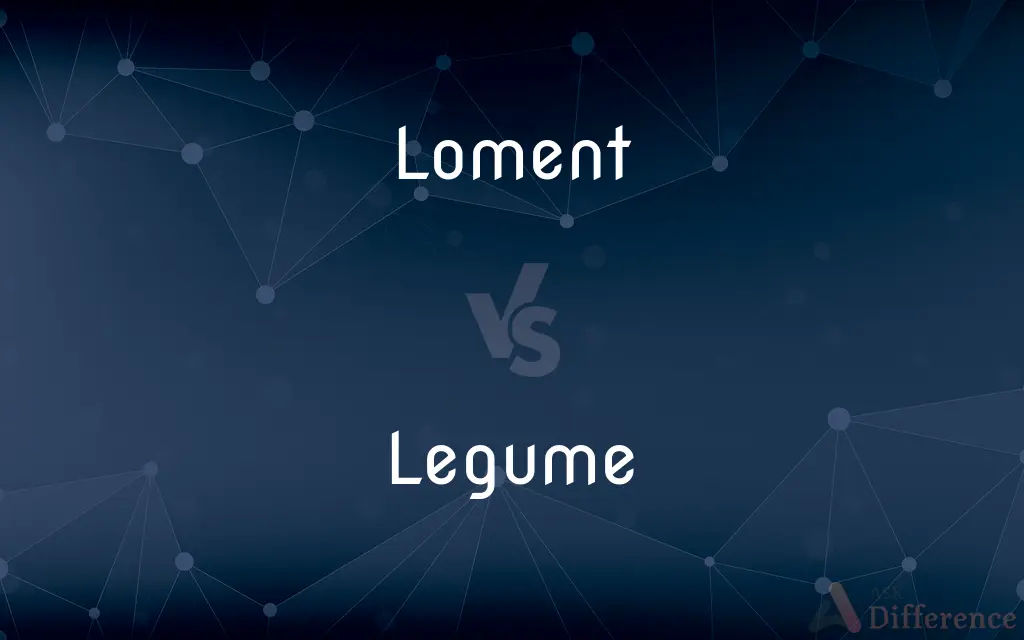 Loment vs. Legume — What's the Difference?