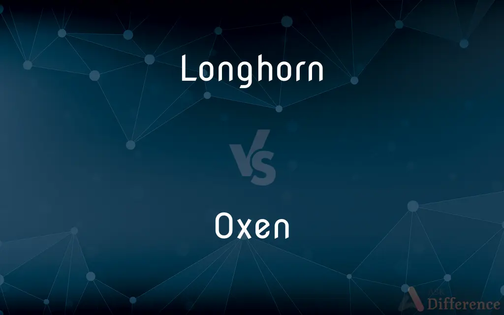 Longhorn vs. Oxen — What's the Difference?